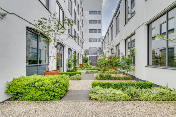 Cambridge Grove, Hammersmith, London, W6